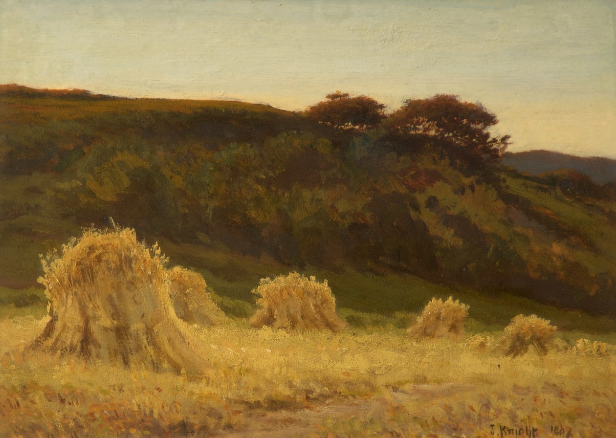 Das Kornfeld von Joseph Knight