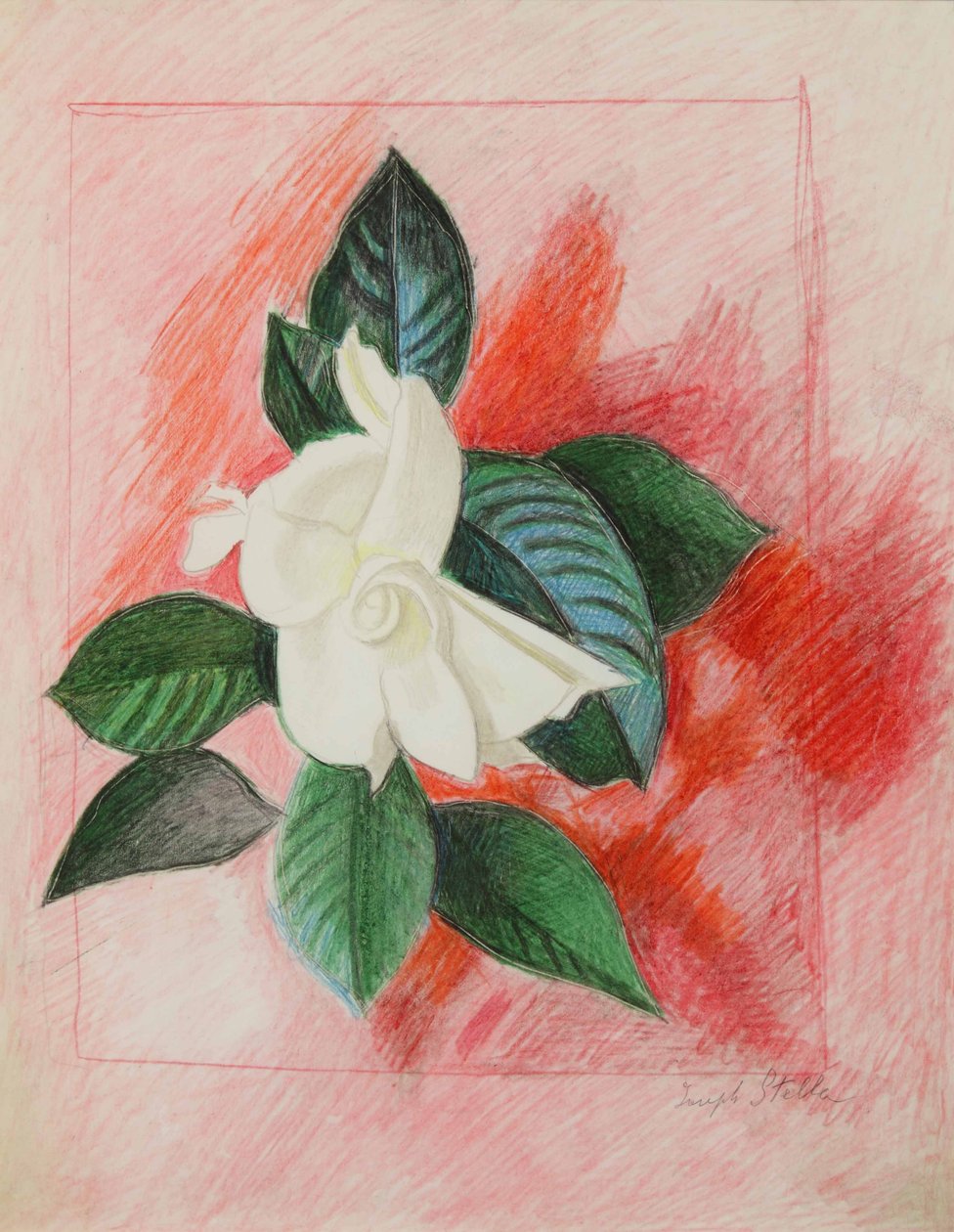 Gardenie, ca. 1940 von Joseph Stella