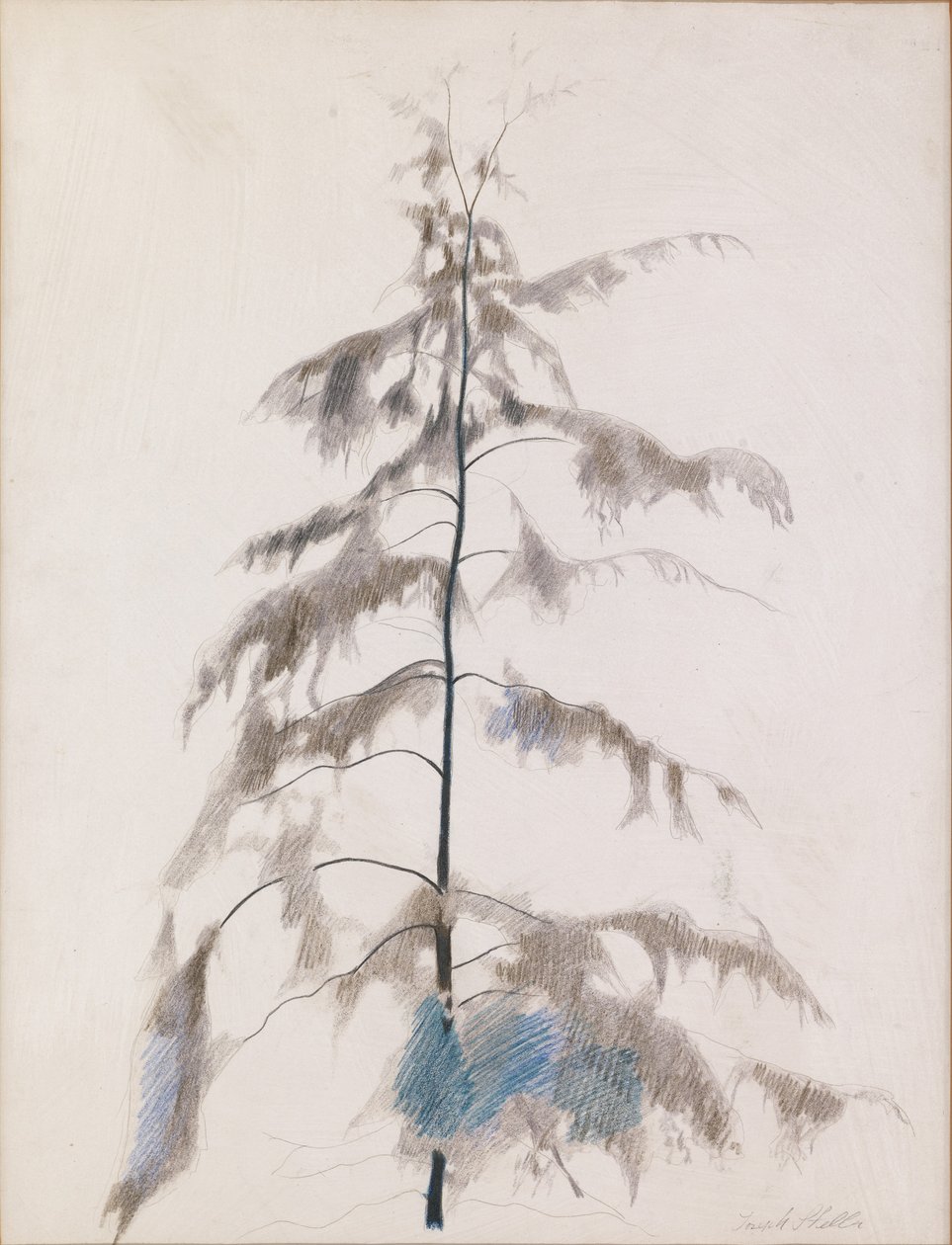 Kiefer von Joseph Stella