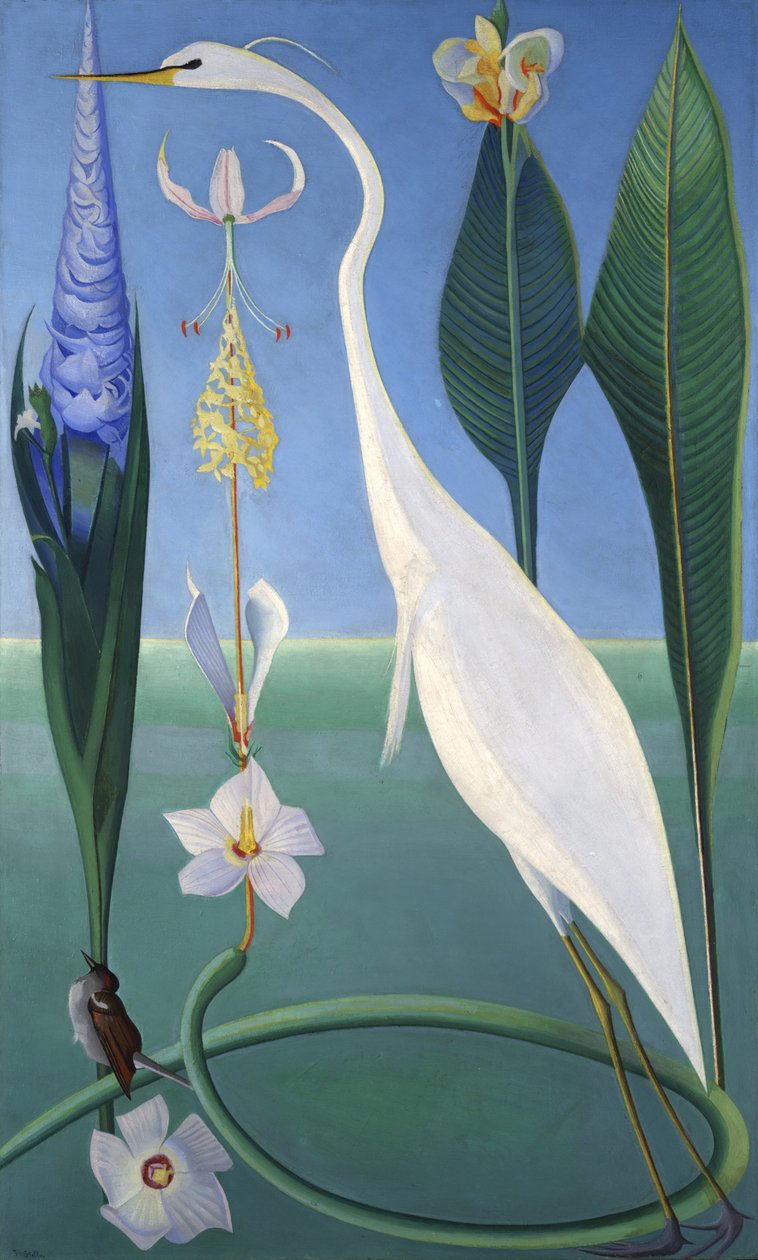 Der weiße Reiher von Joseph Stella