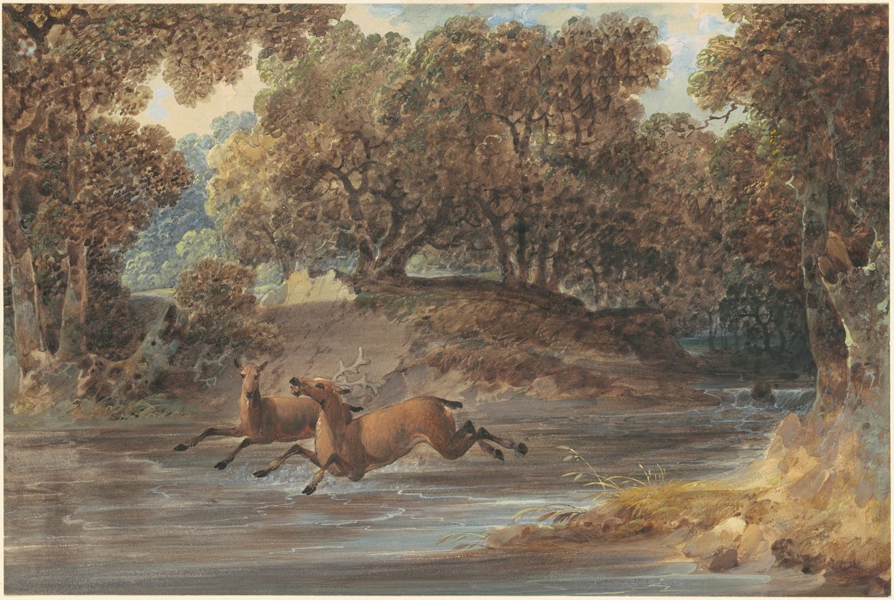 Landschaft mit Hirschen, North Carolina von Joshua Shaw