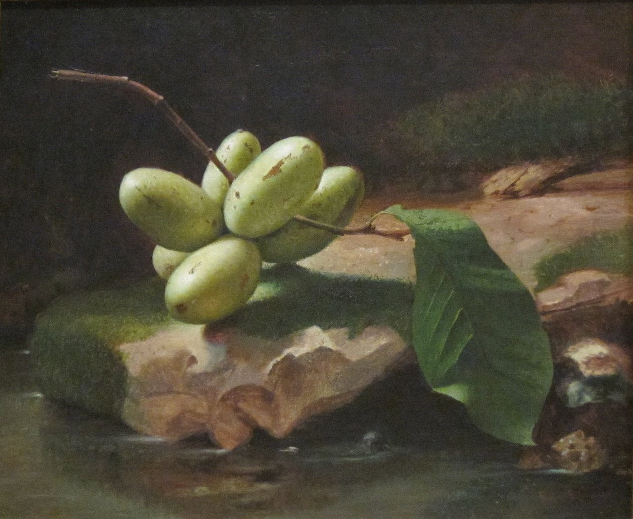 Stillleben mit Papayas von Jr. Edward Edmondson