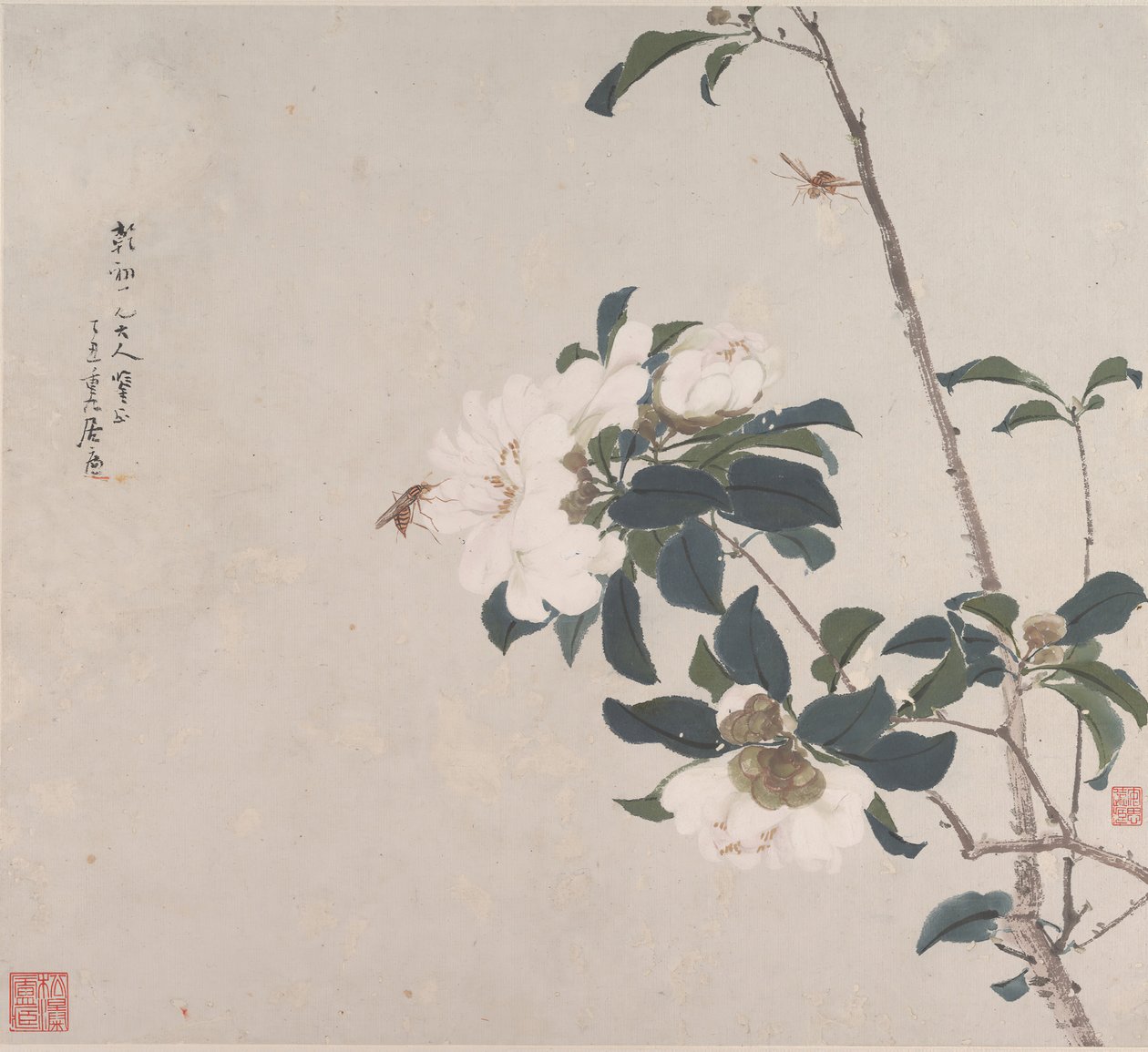 Insekten und Blumen von Ju Lian