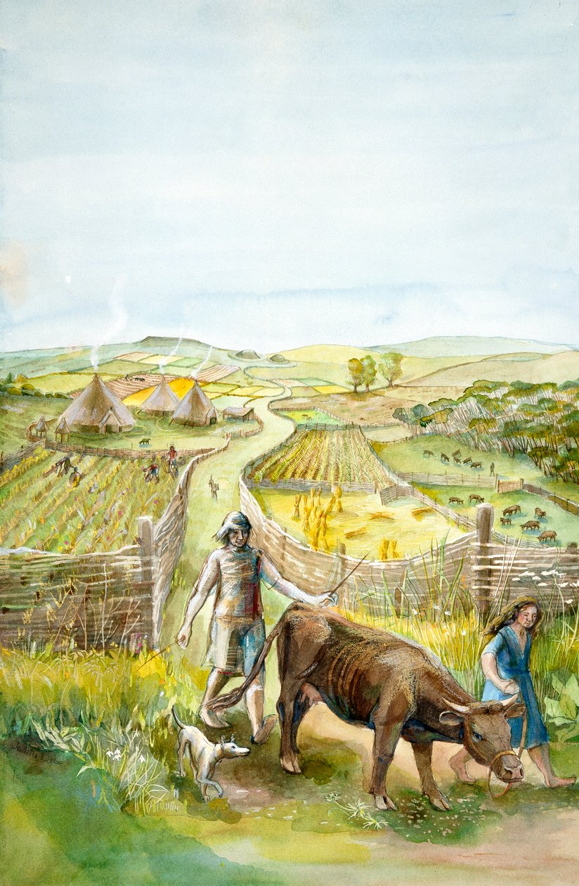 Ländliche Landschaft, 2000 v. Chr., ca. 1990-2010 von Judith Dobie