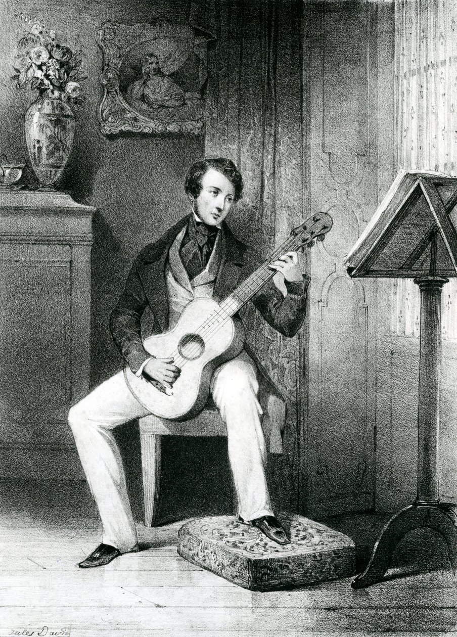 Der Gitarrenspieler von Jules David