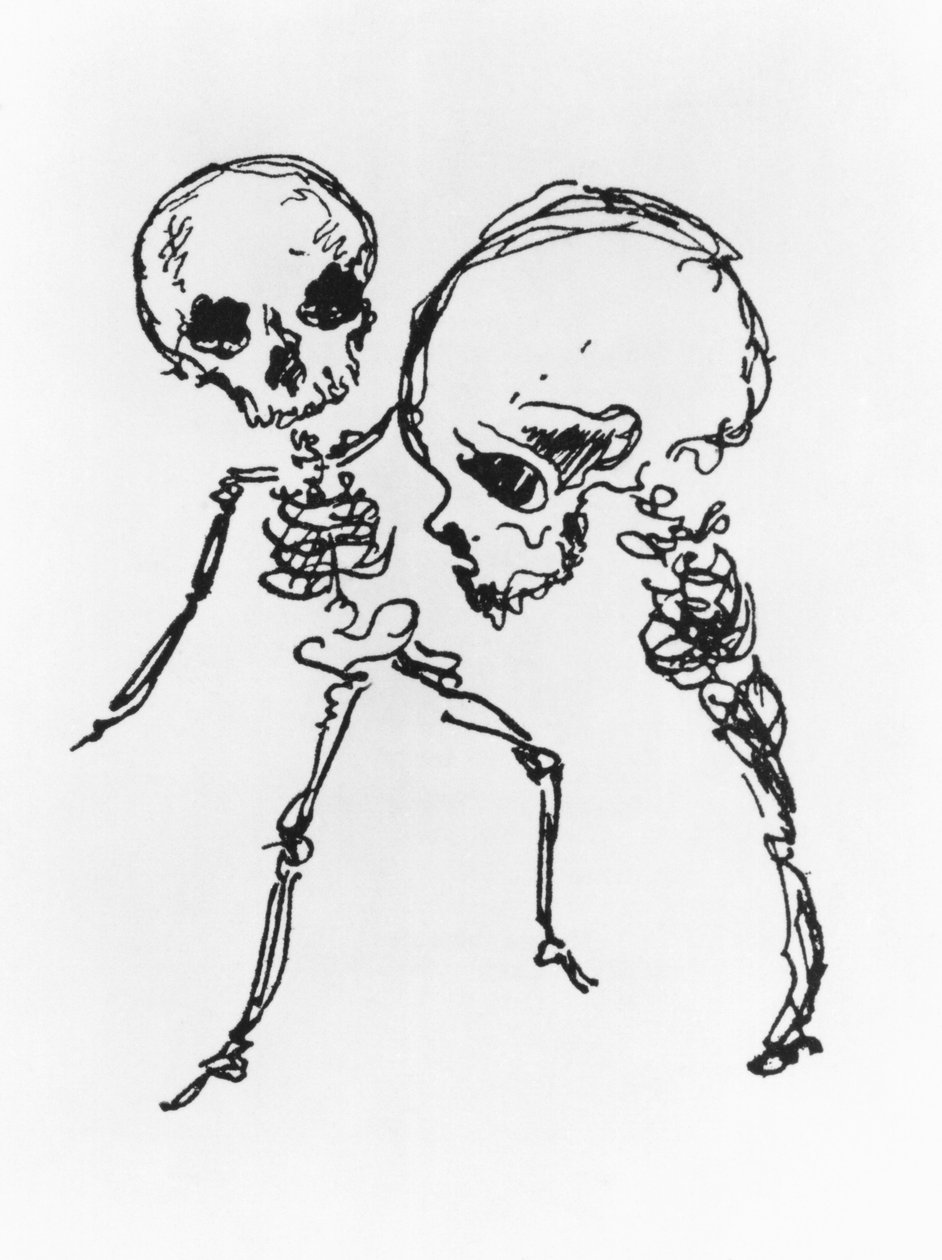 Skelette, Illustration aus 