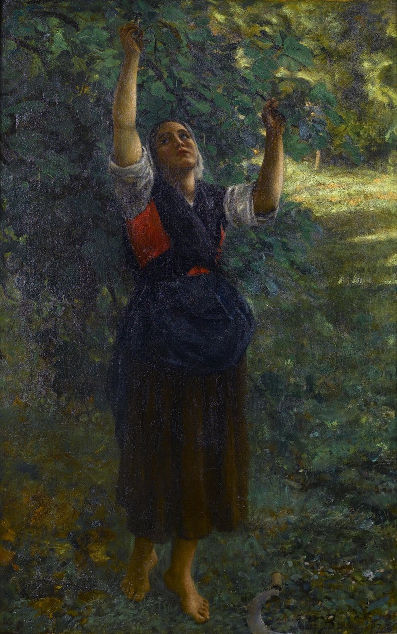 Feigenpflückerin von Jules Breton