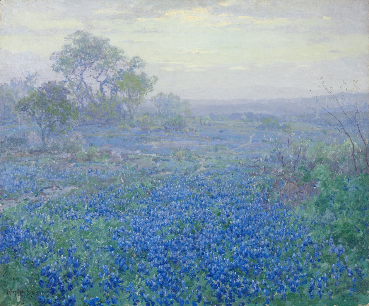 Ein bewölkter Tag, Bluebonnets in der Nähe von San Antonio, Texas von Julian Onderdonk