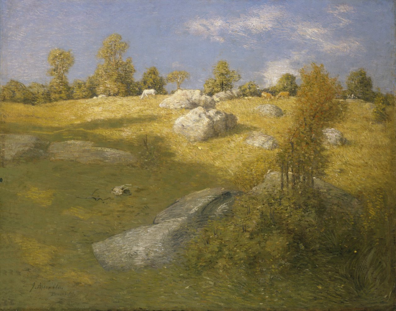 Hochlandweide, ca. 1905 von Julian Alden Weir