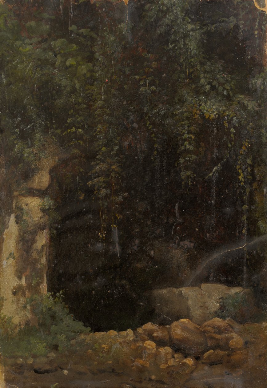 Allikas von Julie Wilhelmine Hagen Schwarz
