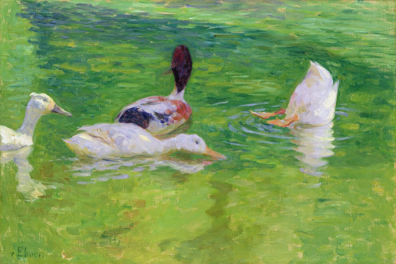 Enten, ca. 1897 von Julius August Friedrich Theodor von Ehren