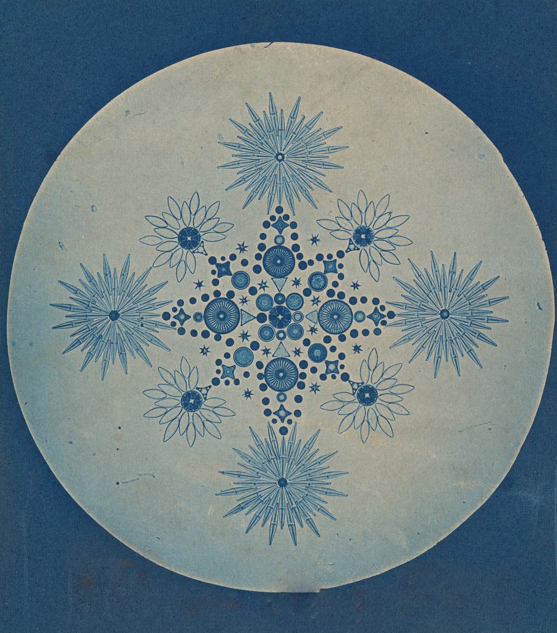 [Frusteln von Diatomeen], ca. 1870 von Julius Wiesner.