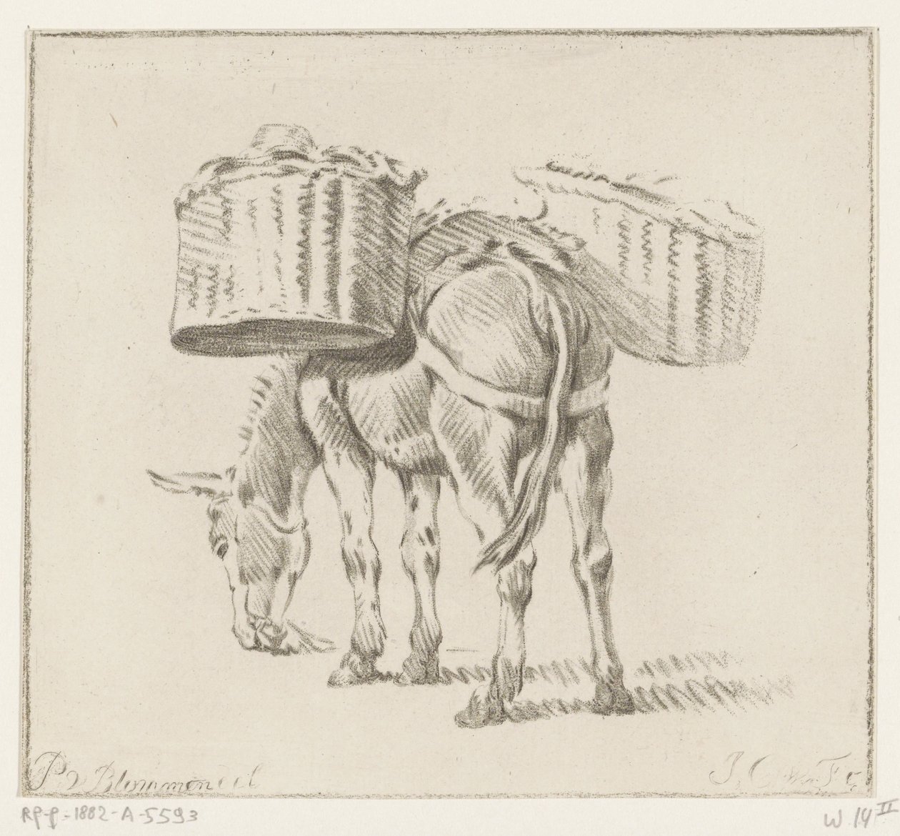 Beladener Esel von Jurriaan Cootwijck