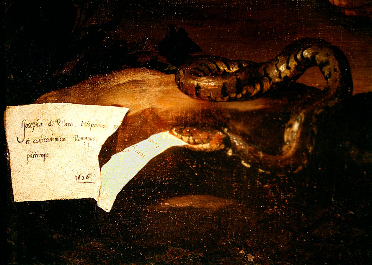 Detail von Betrunkener Silenus, 1626 von Jusepe de Ribera
