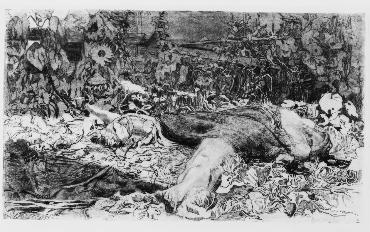 Vergewaltigt von Käthe Kollwitz