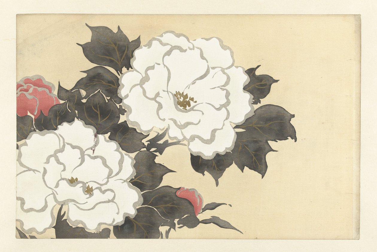 Pfingstrosen, 1909 (Holzschnitt) von Kamisaka Sekka