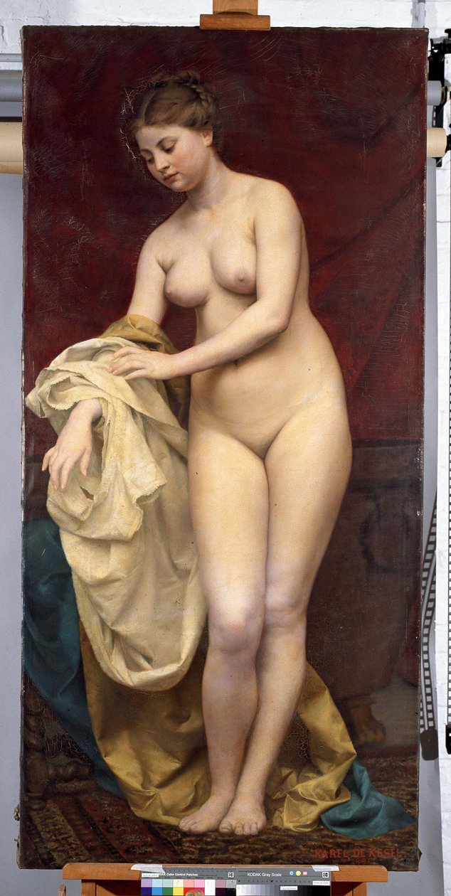 Badende Frau von Karel De Kesel