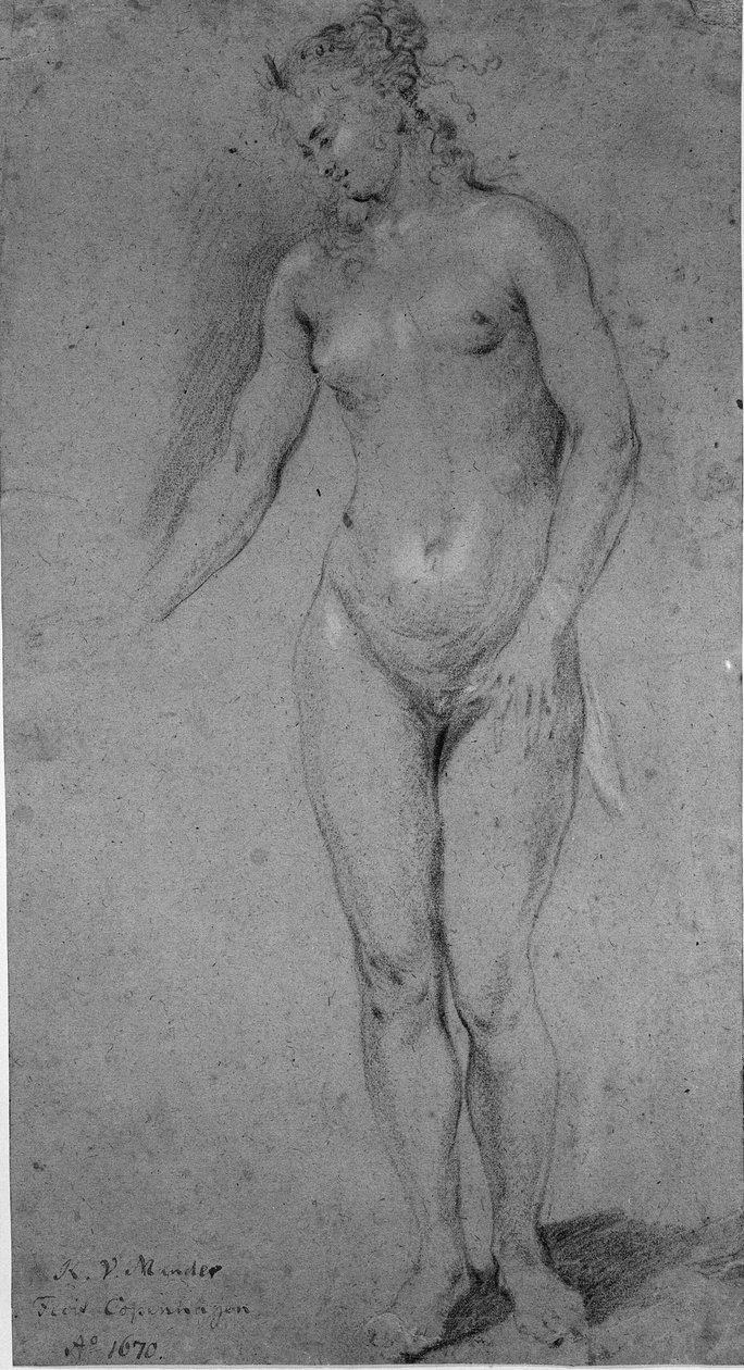 Stehende nackte Frau von Karel van III Mander