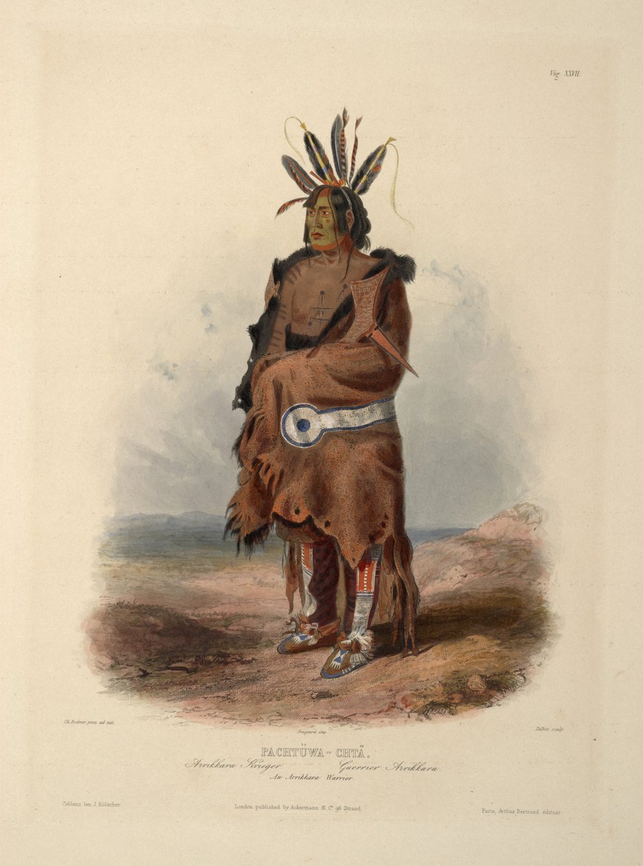 Ein Arrikara-Krieger von Karl Bodmer
