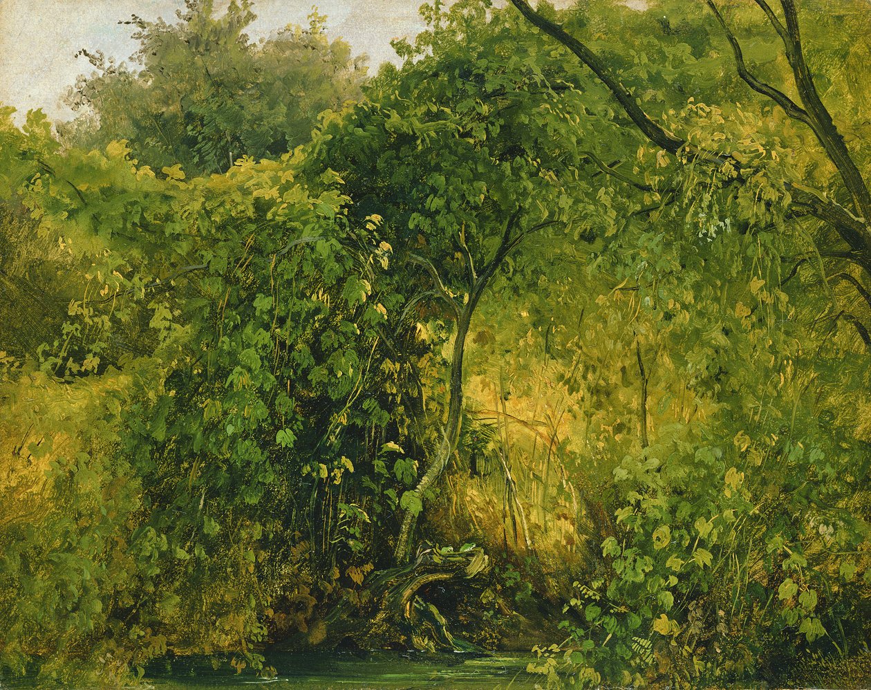 Büsche in Pillnitz, ca. 1818-28 von Karl Gustav Carus