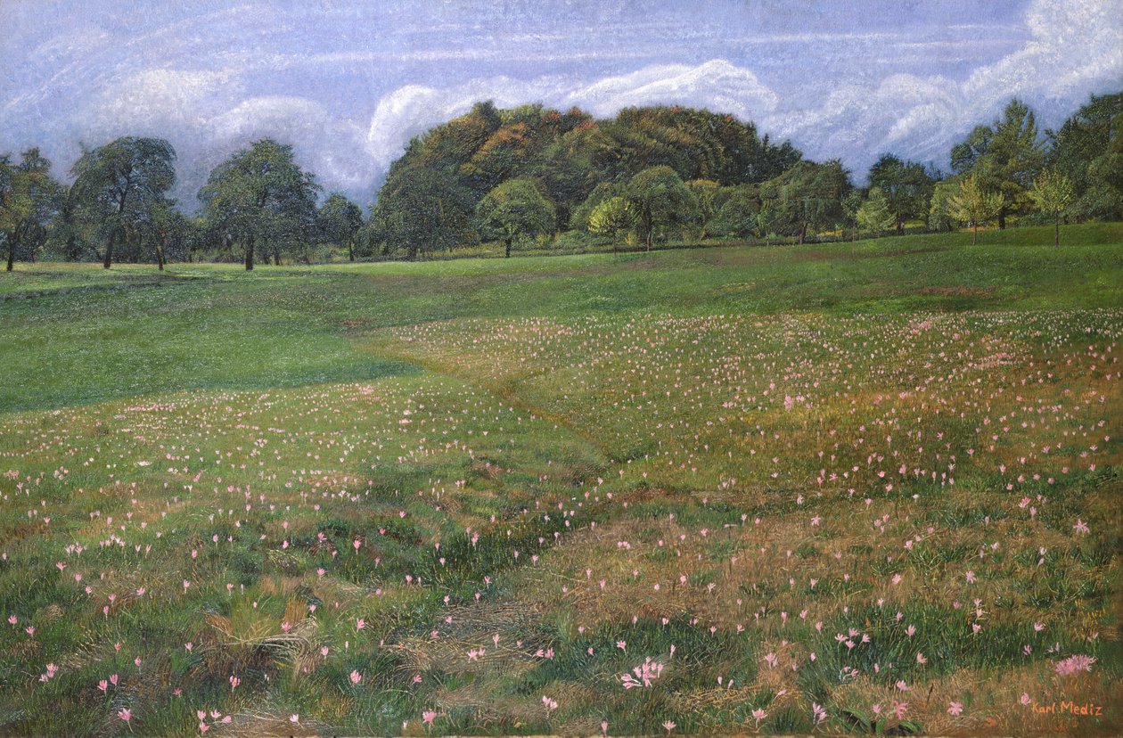 Ein Feld von Herbstzeitlosen, 1908 von Karl Mediz