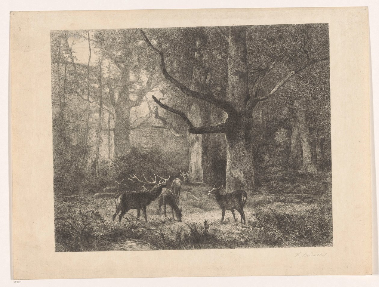 Hirsche im Wald von Karl Bodmer