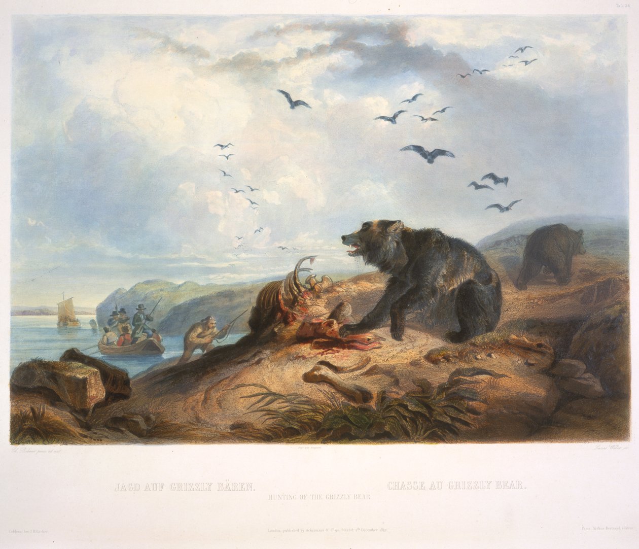 Jagd auf den Grizzlybären von Karl Bodmer