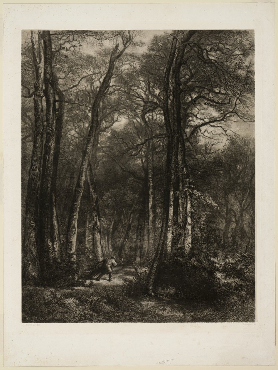 Im Wald von Karl Bodmer