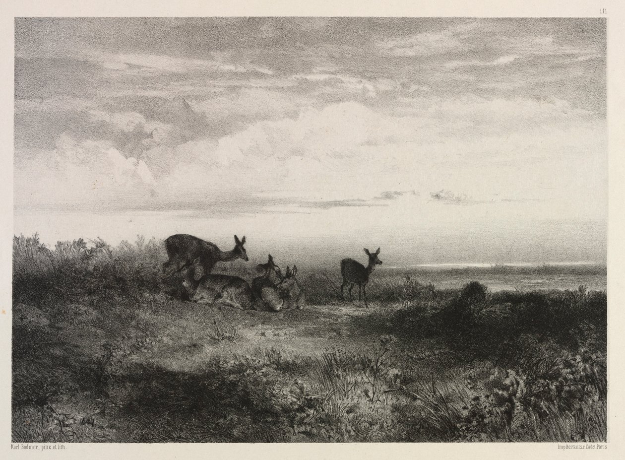 Landschaft mit Hirschen, ca. 1840 von Karl Bodmer