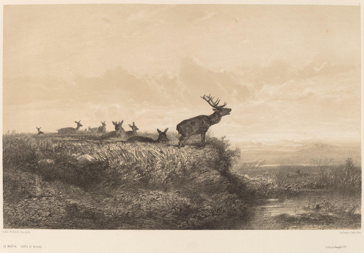 Der Morgen von Karl Bodmer