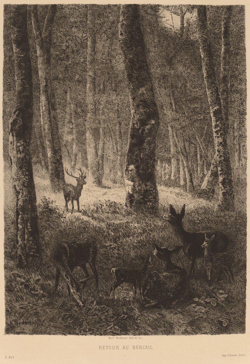 Rückkehr nach Hause von Karl Bodmer