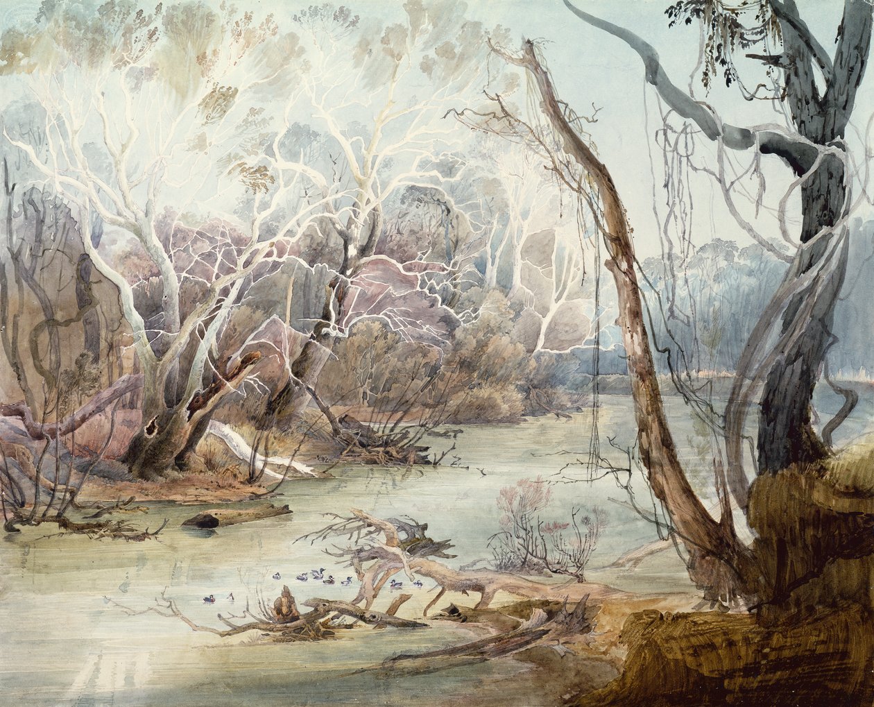 Der Fox River bei New Harmony, Indiana von Karl Bodmer