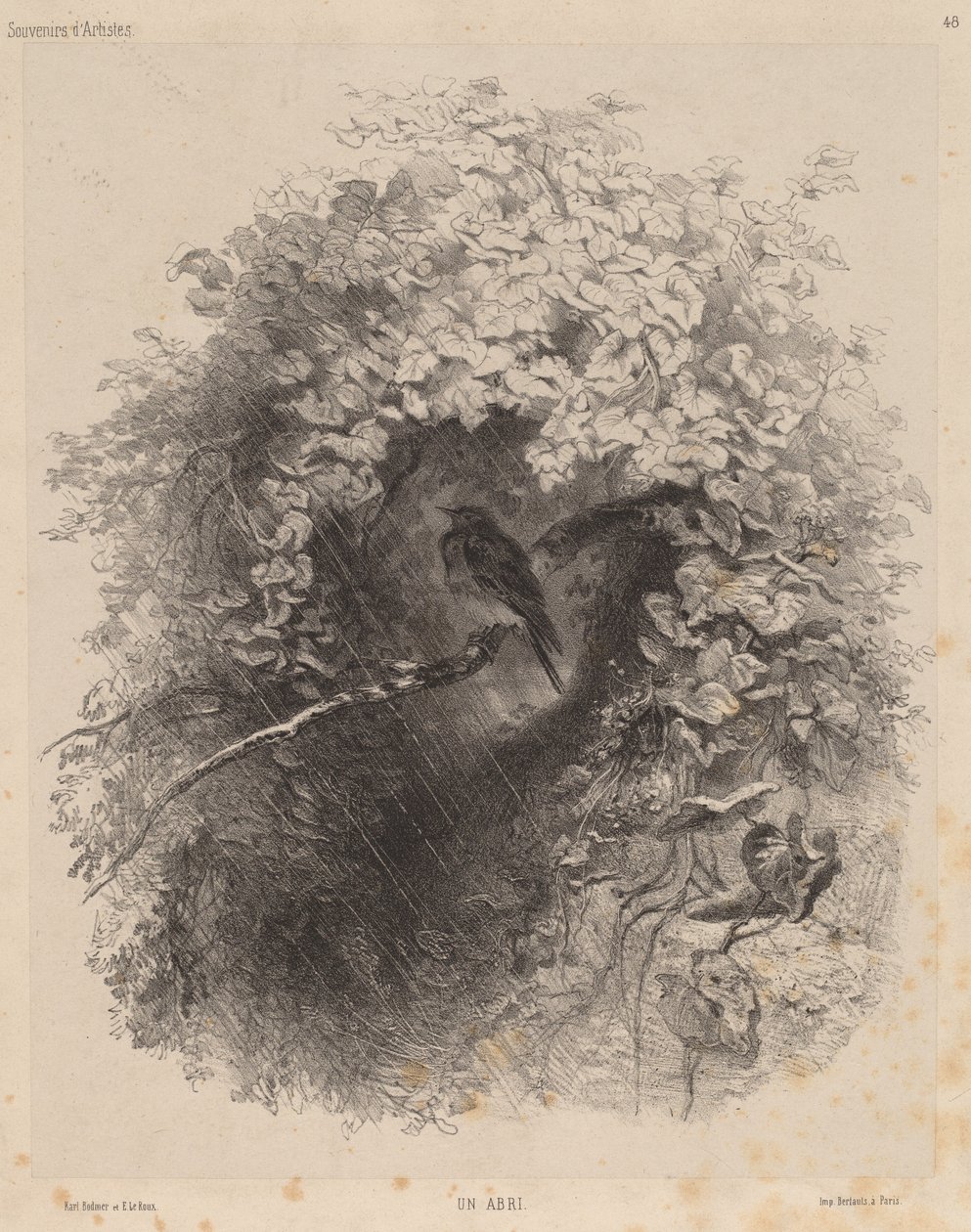 Ein Unterschlupf von Karl Bodmer