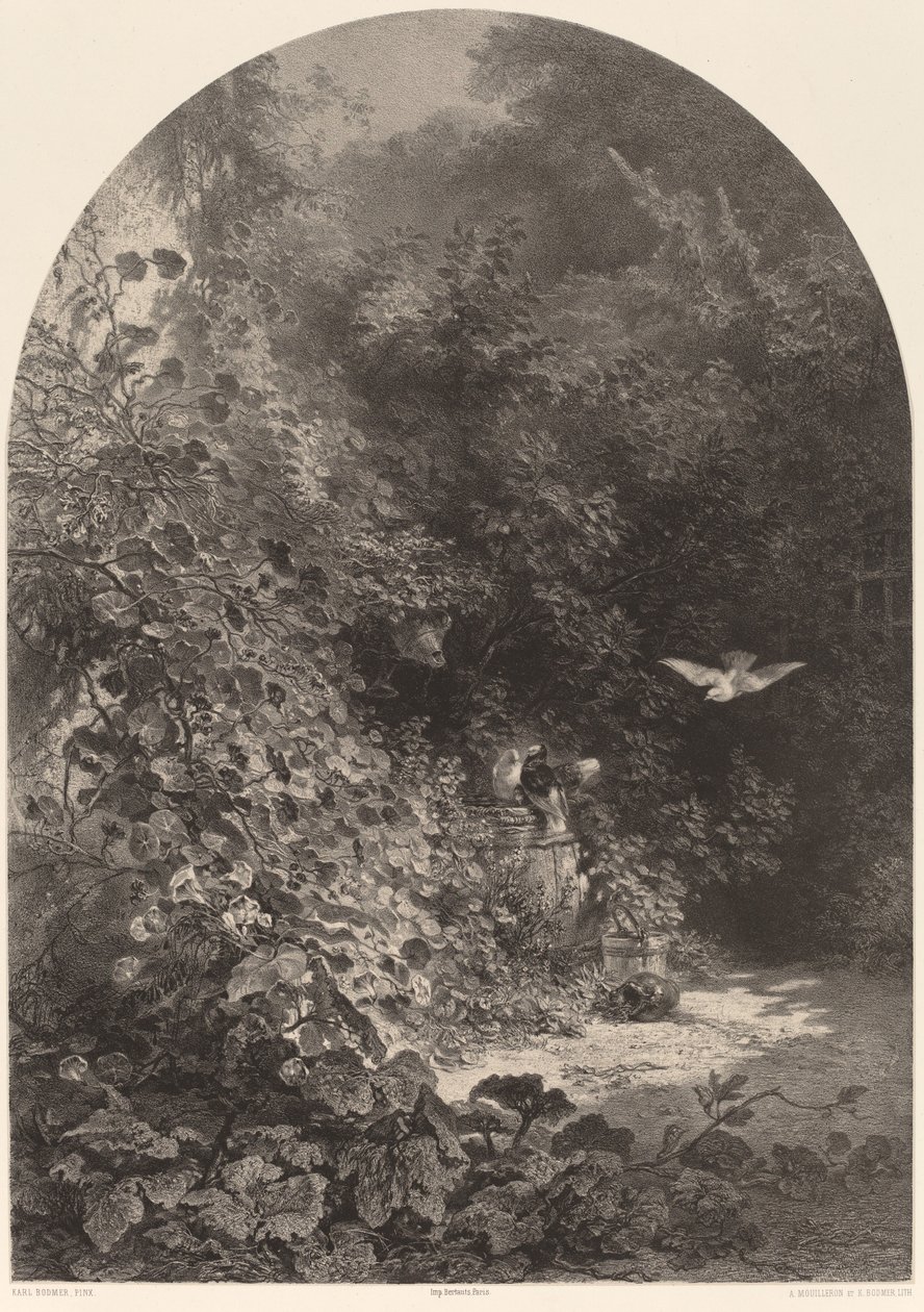 Eine Ecke des Gartens von Karl Bodmer