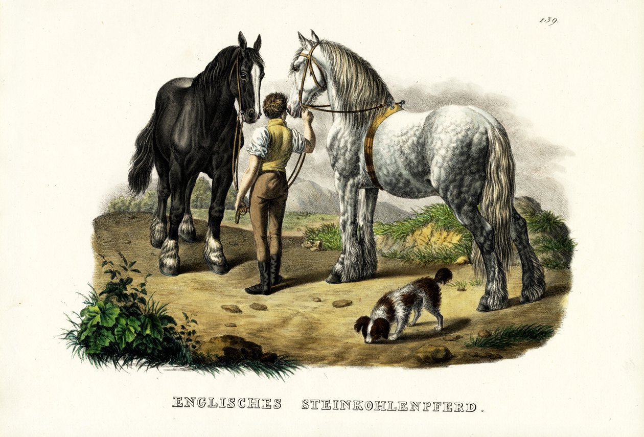 Englisches Grubenpferd, 1824 von Karl Joseph Brodtmann