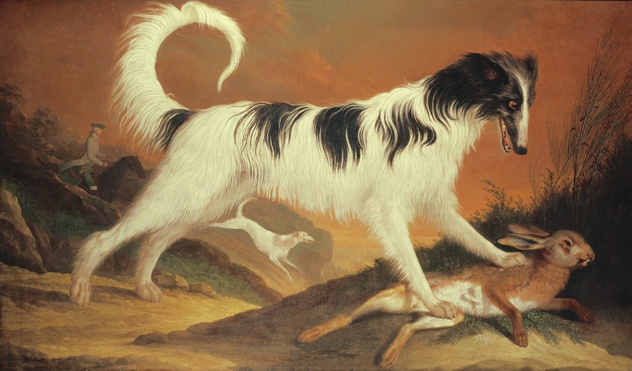 Hund und Hase von Karl Kaspar Pitz