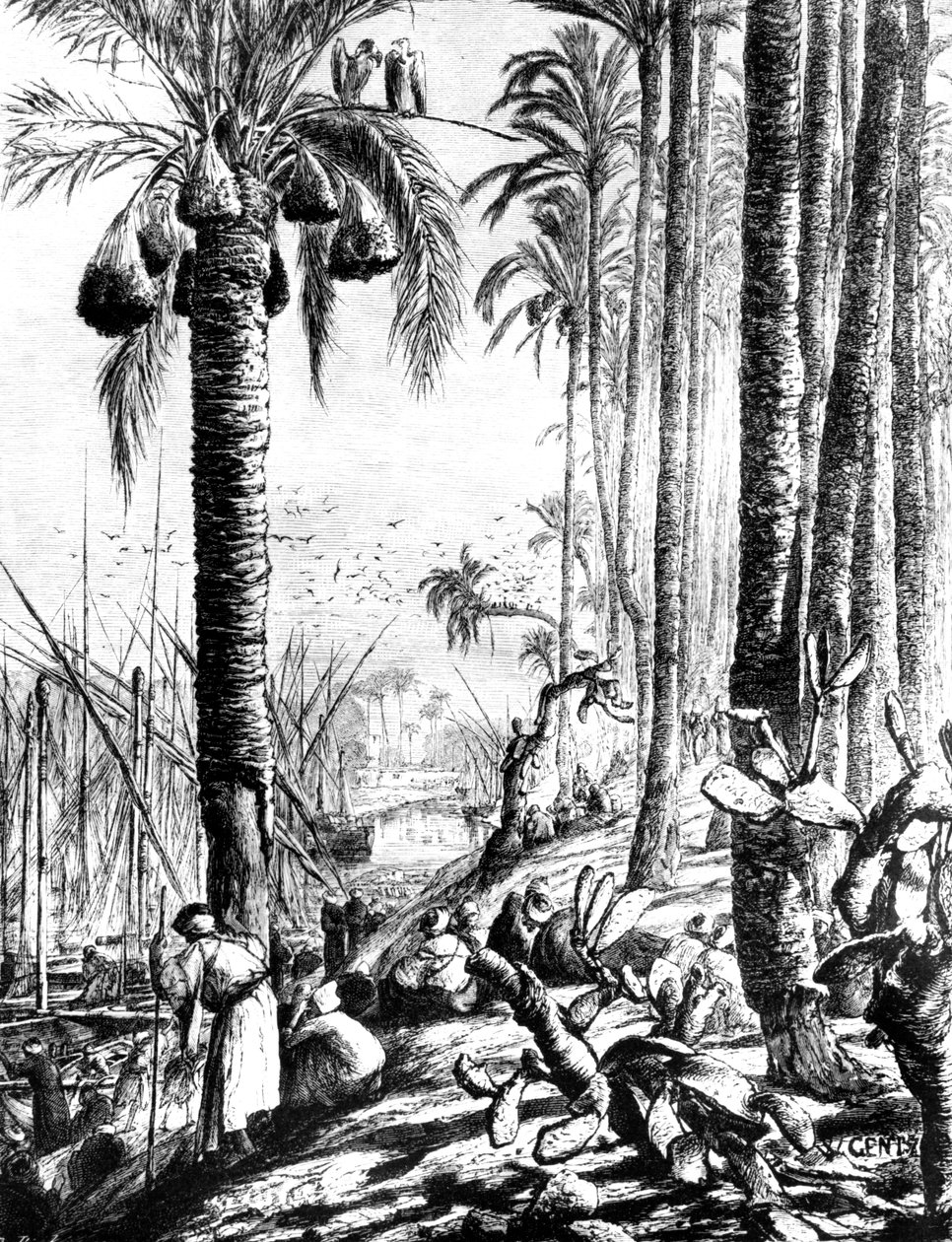 Ränder des Kanals, Mahmoudiyeh, 1880 von Karl Wilhelm Gentz