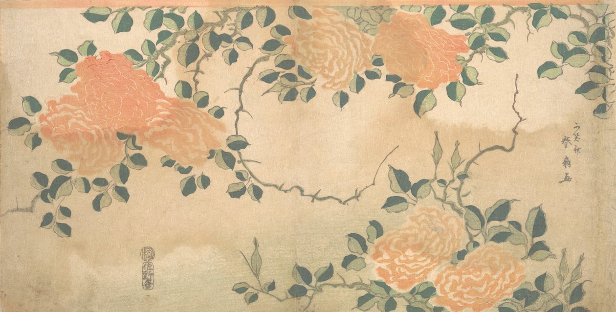 Rosen, ca. 1810 von Kashosai Shunsen