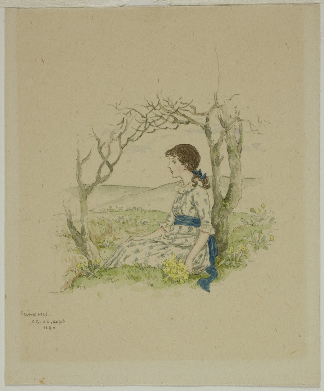 Sitzendes Mädchen mit Primeln von Kate Greenaway