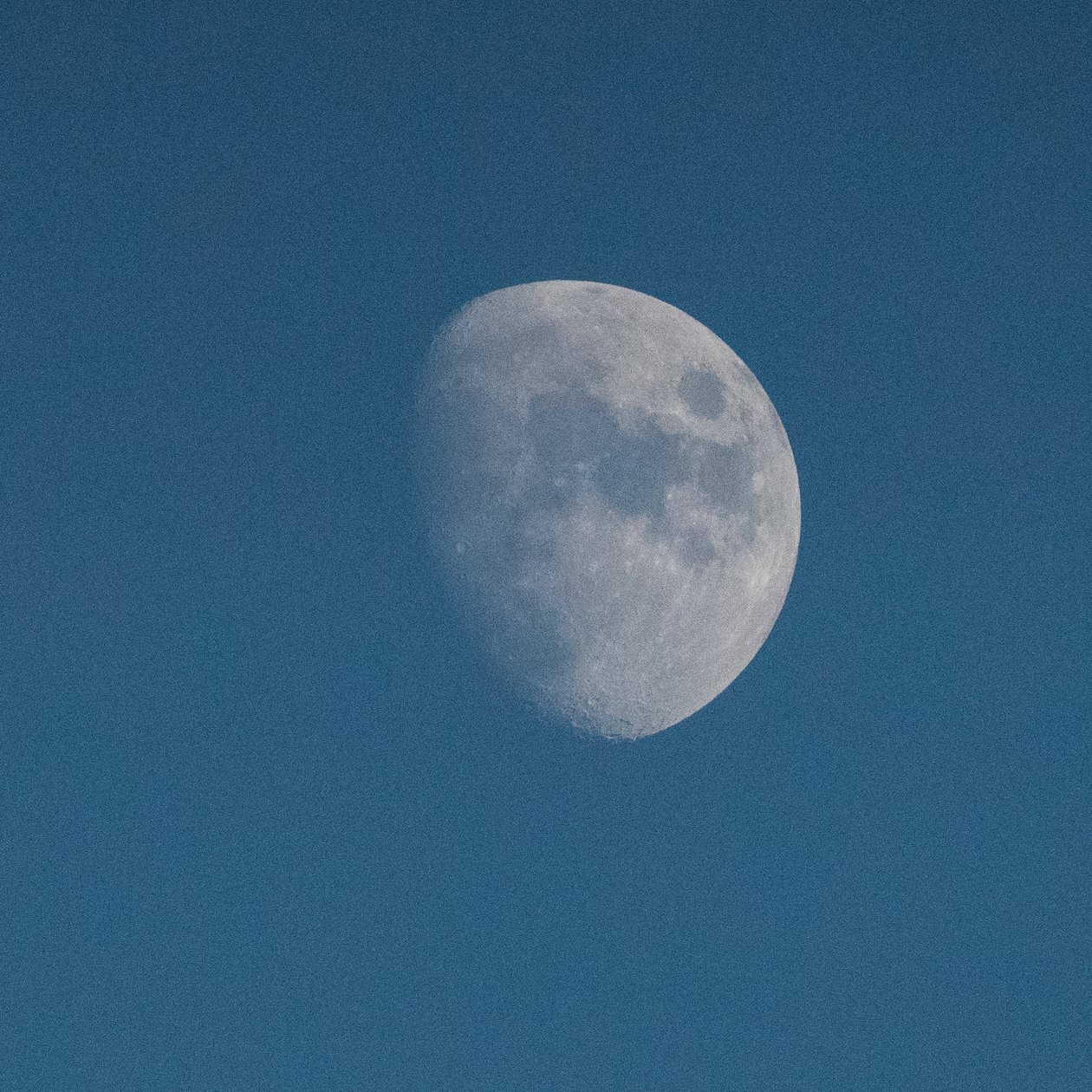 Schau zum Mond, 2021 (Foto) von Katha Wood