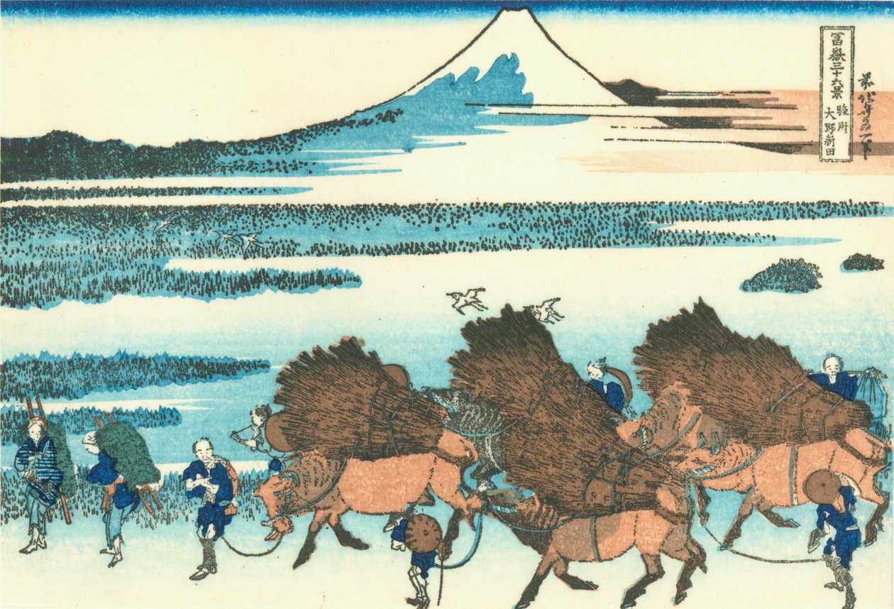 Reisfelder in Ono, Provinz Suruga von Katsushika Hokusai