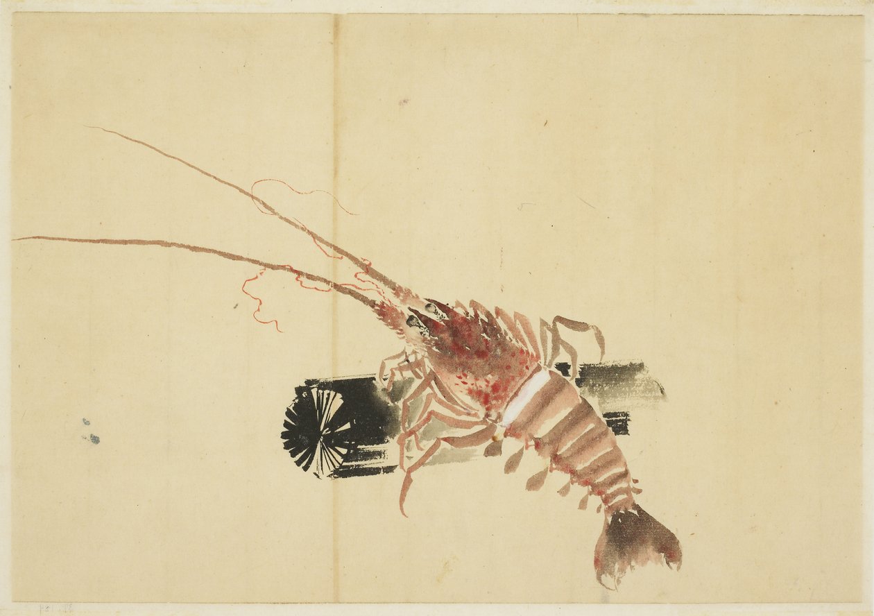 Ebi (Riesengarnele) von Katsushika (school of) Hokusai