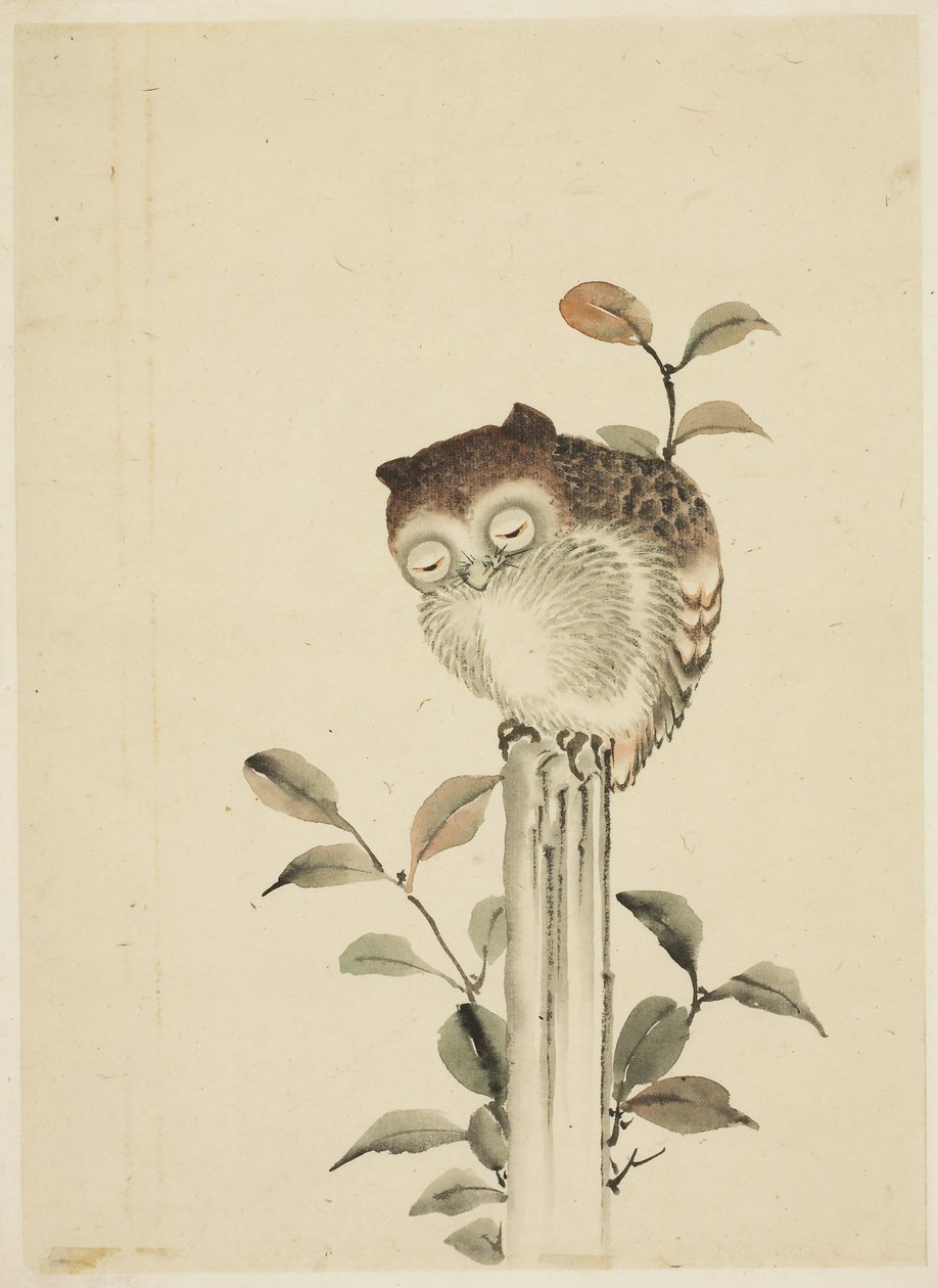 Schlafende Eule auf einem Baumstumpf von Katsushika (school of) Hokusai