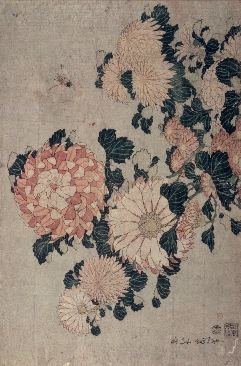 Chrysanthemen von Katsushika Hokusai