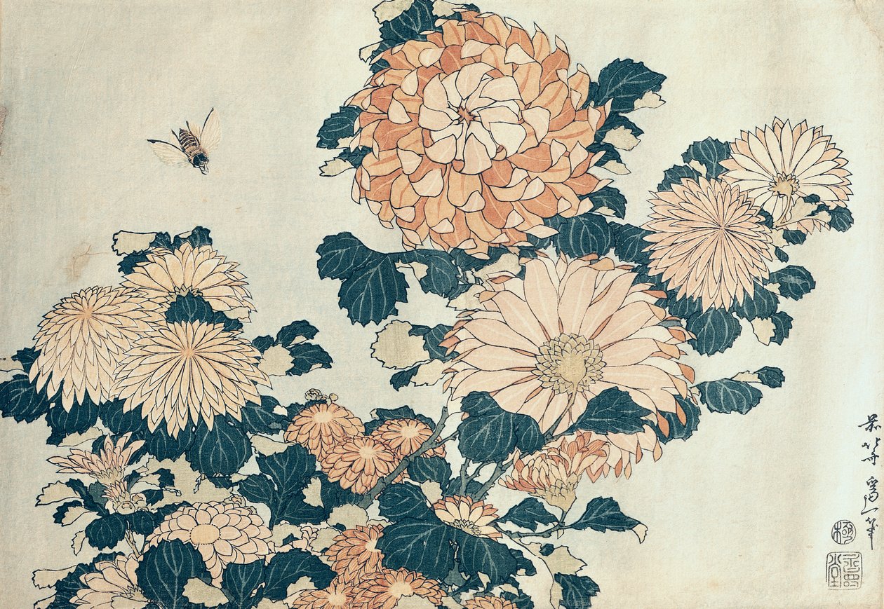 Chrysanthemen von Katsushika Hokusai