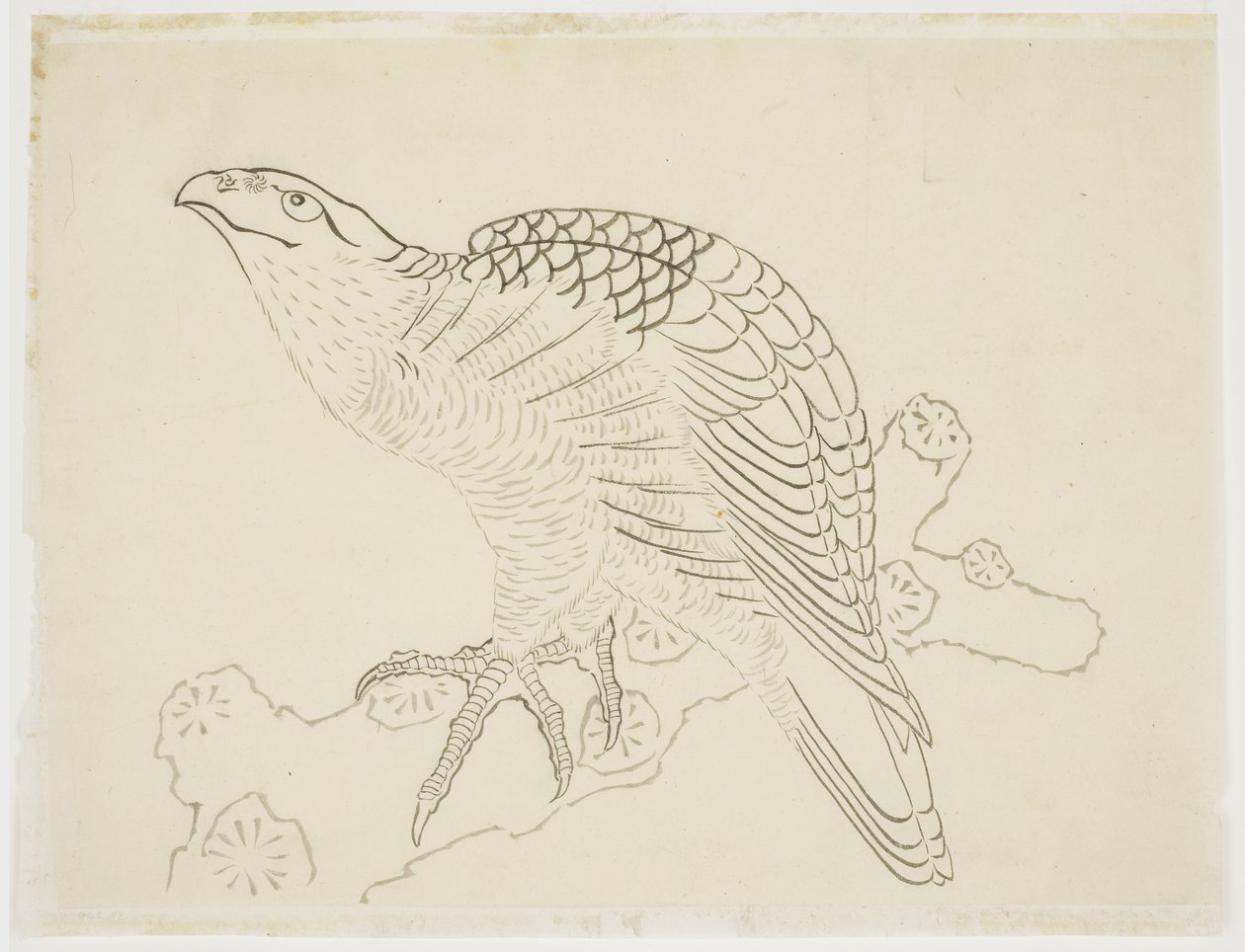 Falke auf einem Ast (Studie) von Katsushika Hokusai