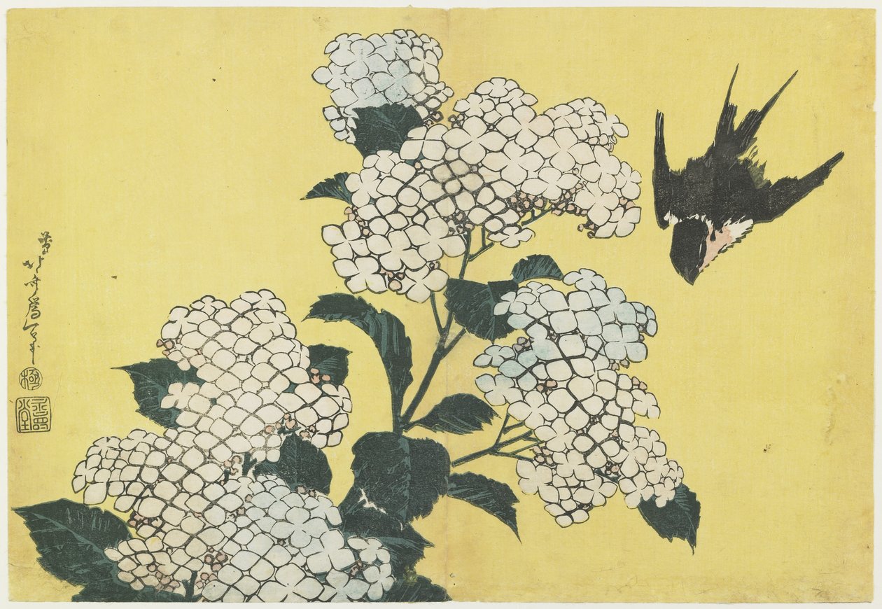 Hortensie und Schwalbe, ca. 1832 von Katsushika Hokusai