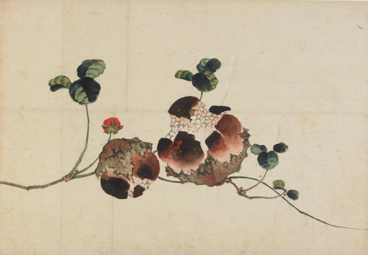 Granatäpfel von Katsushika Hokusai