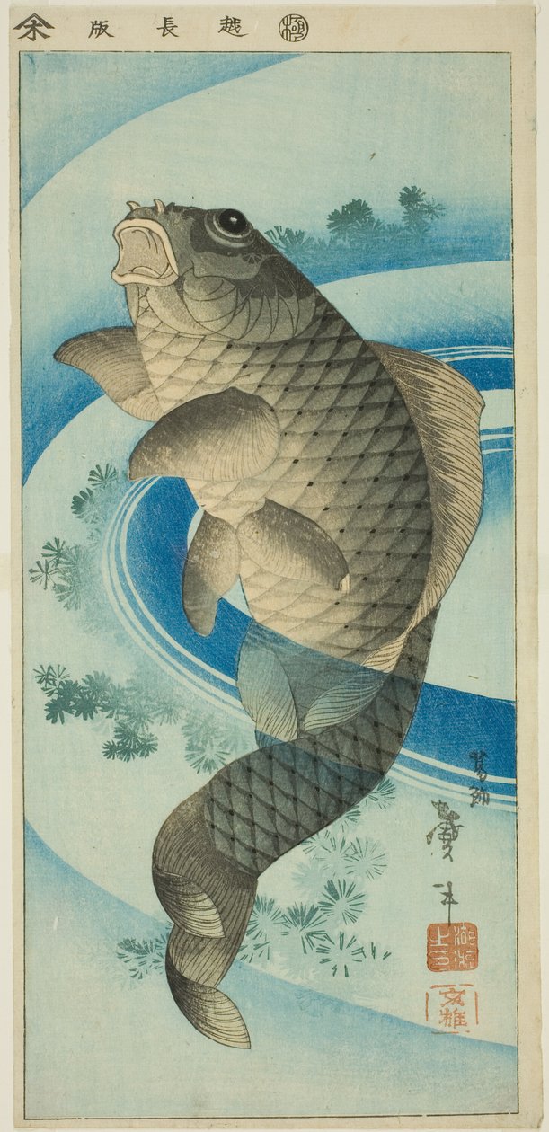 Karpfen von Katsushika Taito II