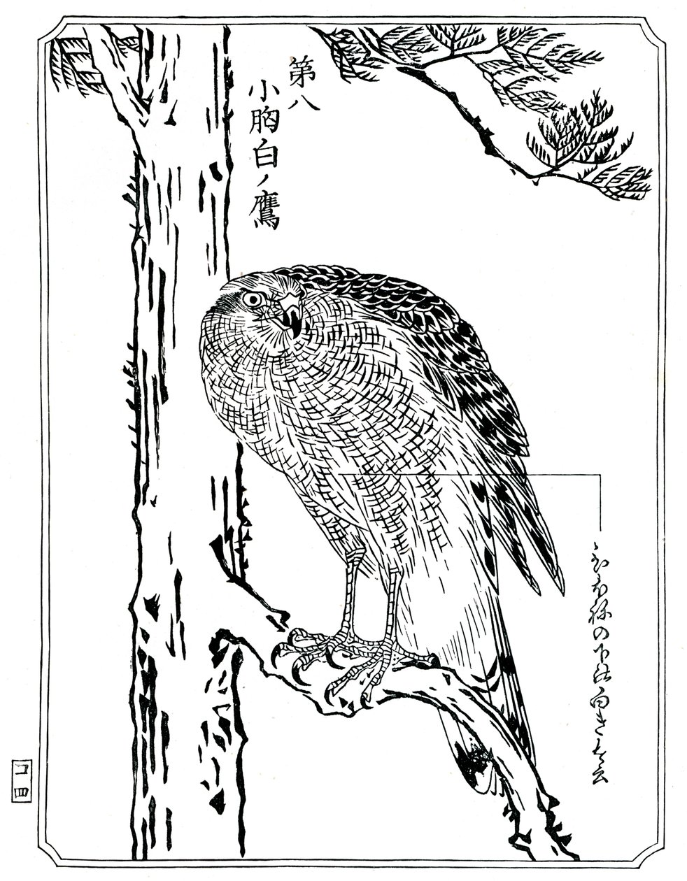 Ein Falke, 1898 von Kawanabe Kyosai